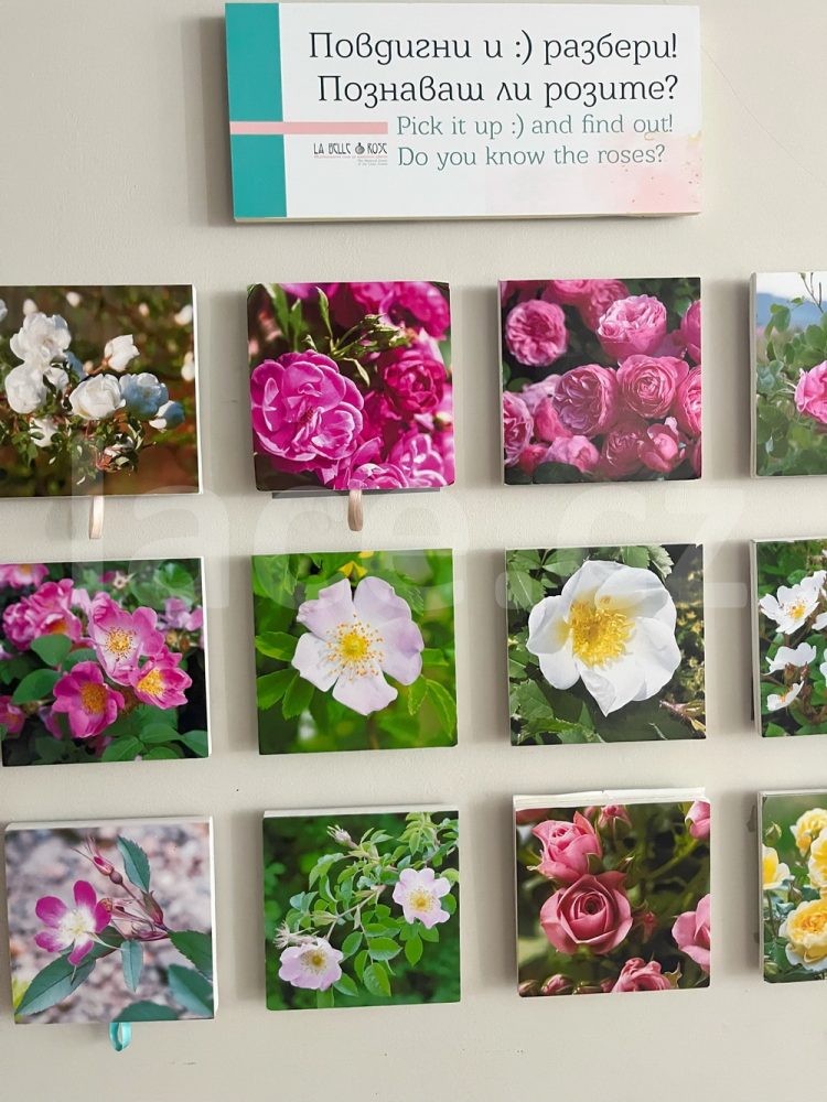 2025 | Muzeum růží, Kazanlak