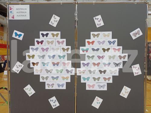 Ručně paličkovaná krajka, Dana Mihulková, lace.cz