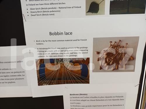 Ručně paličkovaná krajka, Dana Mihulková, lace.cz