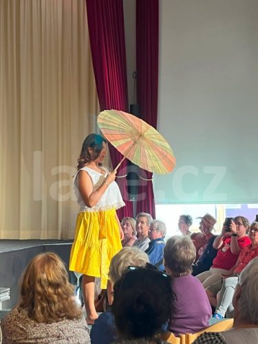 Ručně paličkovaná krajka, Dana Mihulková, lace.cz