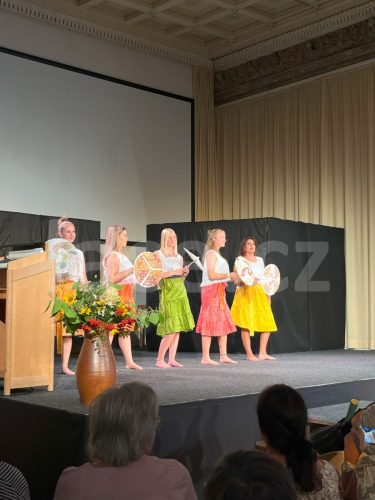 Ručně paličkovaná krajka, Dana Mihulková, lace.cz