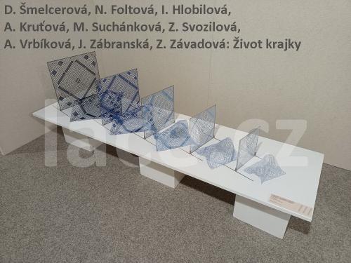 Ručně paličkovaná krajka, Dana Mihulková, lace.cz