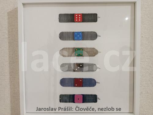 Ručně paličkovaná krajka, Dana Mihulková, lace.cz