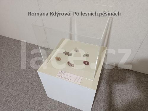 Ručně paličkovaná krajka, Dana Mihulková, lace.cz
