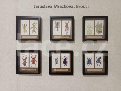 Ručně paličkovaná krajka, Dana Mihulková, lace.cz