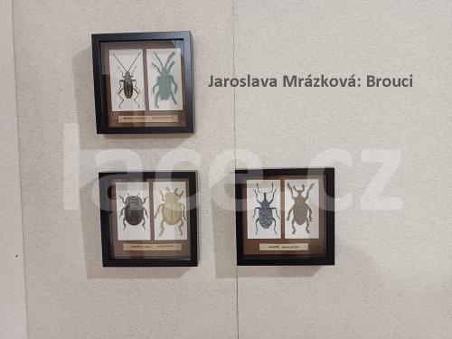 Ručně paličkovaná krajka, Dana Mihulková, lace.cz