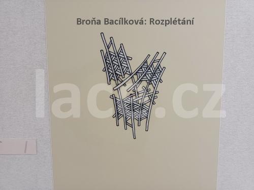 Ručně paličkovaná krajka, Dana Mihulková, lace.cz