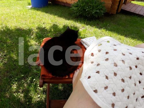 Ručně paličkovaná krajka, Dana Mihulková, lace.cz