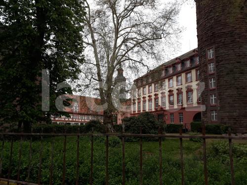 Ručně paličkovaná krajka, Dana Mihulková, lace.cz