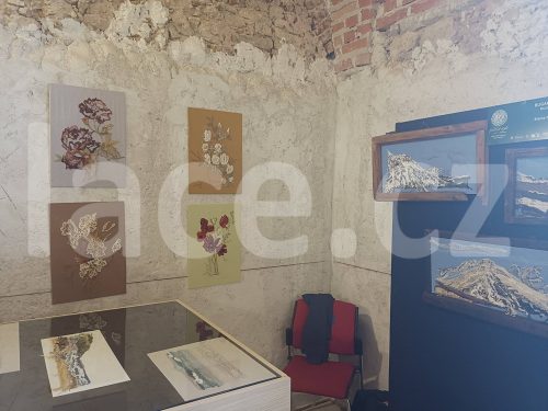 Festival_Lepoglava_104