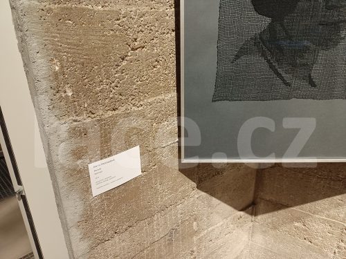 Ručně paličkovaná krajka, Dana Mihulková, lace.cz