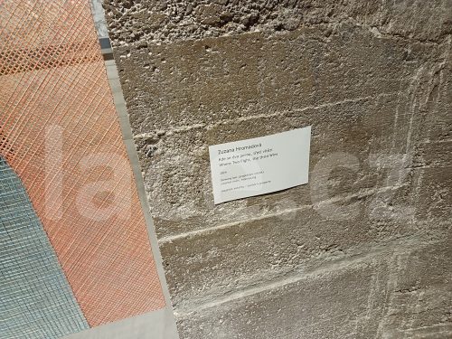 Ručně paličkovaná krajka, Dana Mihulková, lace.cz