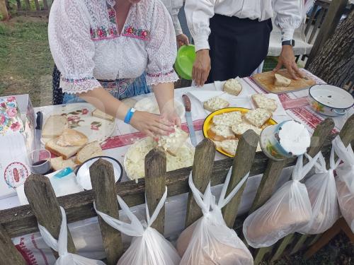 Ručně paličkovaná krajka, Dana Mihulková, lace.cz
