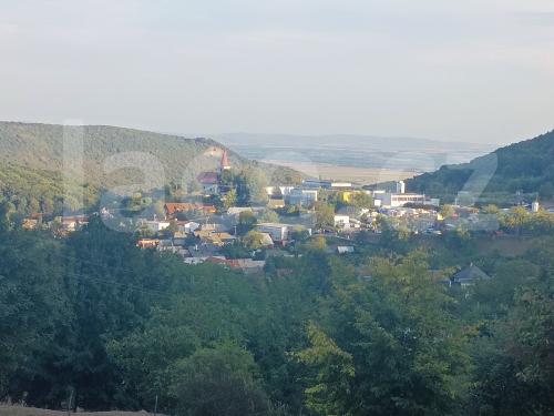 Ručně paličkovaná krajka, Dana Mihulková, lace.cz