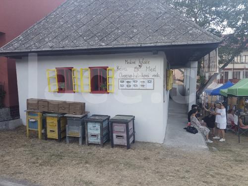 Ručně paličkovaná krajka, Dana Mihulková, lace.cz