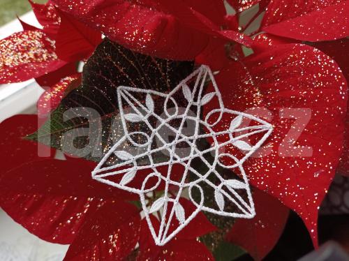 Ručně paličkovaná krajka, Dana Mihulková, lace.cz