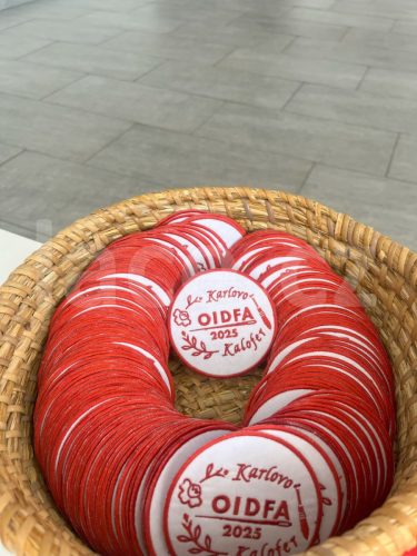 Kalofer_festival_008
