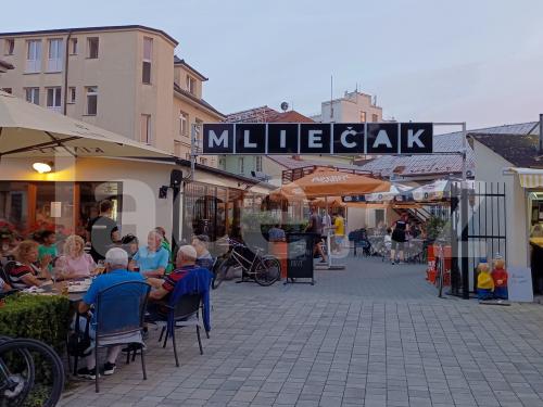Ručně paličkovaná krajka, Dana Mihulková, lace.cz