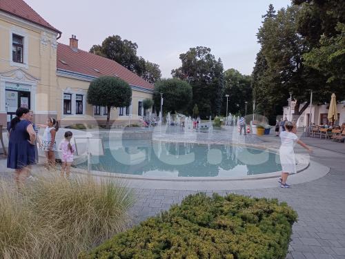 Ručně paličkovaná krajka, Dana Mihulková, lace.cz
