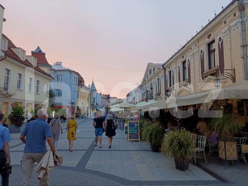 Ručně paličkovaná krajka, Dana Mihulková, lace.cz