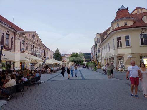 Ručně paličkovaná krajka, Dana Mihulková, lace.cz