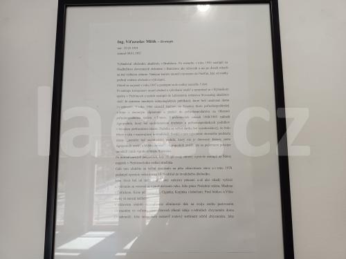 Ručně paličkovaná krajka, Dana Mihulková, lace.cz