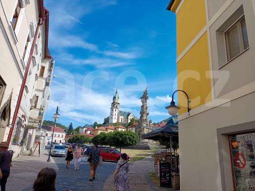 Ručně paličkovaná krajka, Dana Mihulková, lace.cz