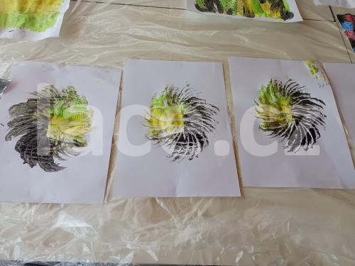 Ručně paličkovaná krajka, Dana Mihulková, lace.cz