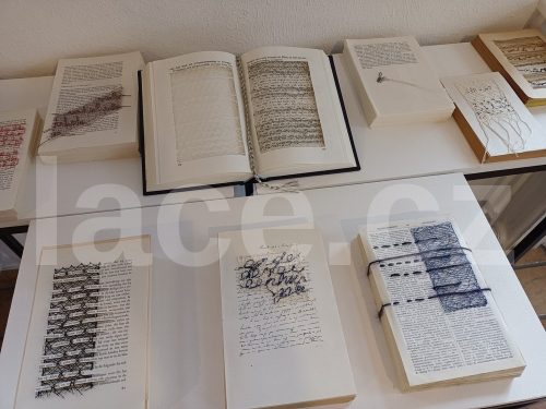 Ručně paličkovaná krajka, Dana Mihulková, lace.cz