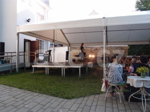 Ručně paličkovaná krajka, Dana Mihulková, lace.cz