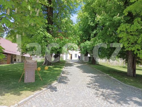 Ručně paličkovaná krajka, Dana Mihulková, lace.cz