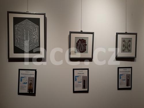 Ručně paličkovaná krajka, Dana Mihulková, lace.cz