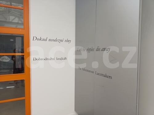 Ručně paličkovaná krajka, Dana Mihulková, lace.cz