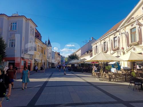 Ručně paličkovaná krajka, Dana Mihulková, lace.cz