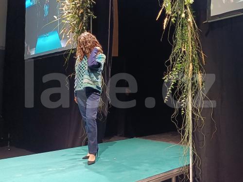 Ručně paličkovaná krajka, Dana Mihulková, lace.cz