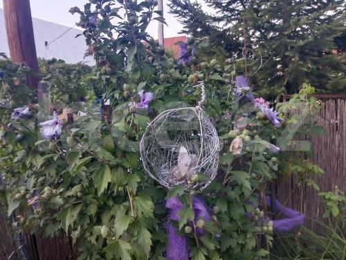 Ručně paličkovaná krajka, Dana Mihulková, lace.cz