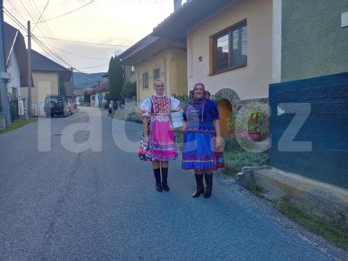 Ručně paličkovaná krajka, Dana Mihulková, lace.cz