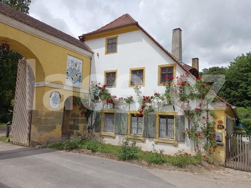 Ručně paličkovaná krajka, Dana Mihulková, lace.cz