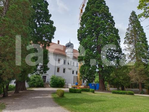 Ručně paličkovaná krajka, Dana Mihulková, lace.cz