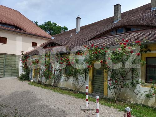 Ručně paličkovaná krajka, Dana Mihulková, lace.cz