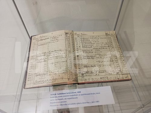 Ručně paličkovaná krajka, Dana Mihulková, lace.cz