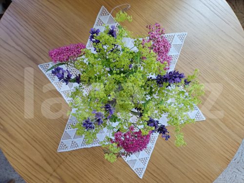 Ručně paličkovaná krajka, Dana Mihulková, lace.cz