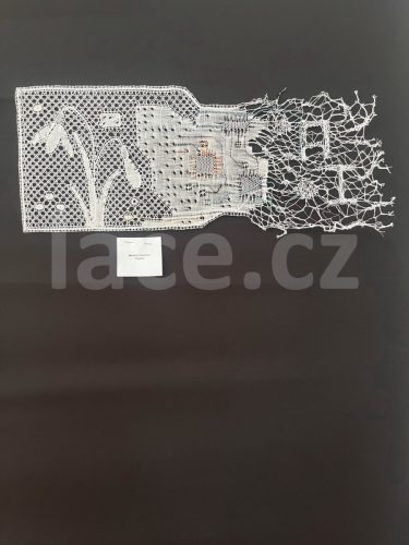 Soutěž_OIDFA_031