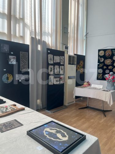Soutěž_OIDFA_060