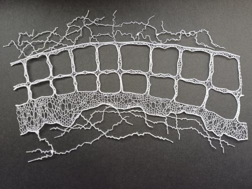 Ručně paličkovaná krajka, Dana Mihulková, lace.cz