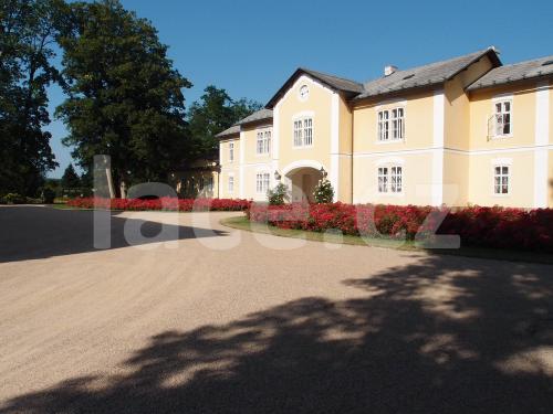 Ručně paličkovaná krajka, Dana Mihulková, lace.cz