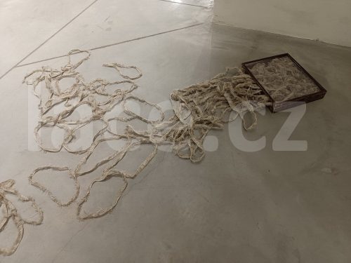 Ručně paličkovaná krajka, Dana Mihulková, lace.cz