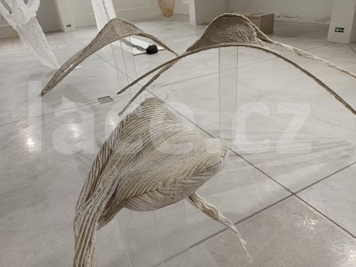 Ručně paličkovaná krajka, Dana Mihulková, lace.cz