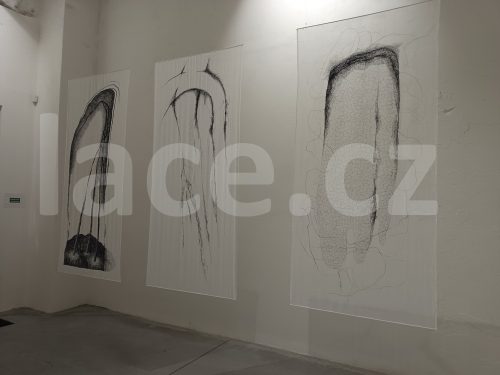 Ručně paličkovaná krajka, Dana Mihulková, lace.cz