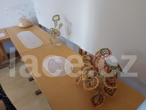 Výstava_Krajkářská_škola_Vamberk_2026 (27)